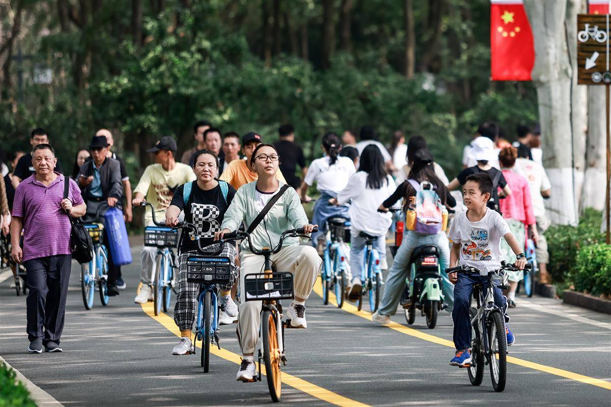 丰来国际娱乐